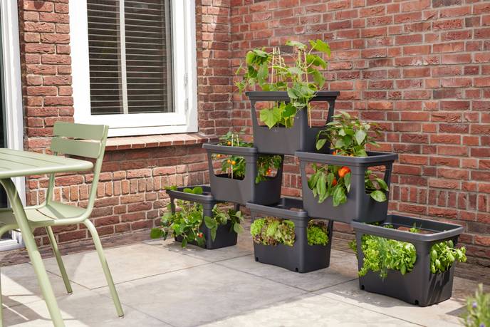 green basics stack & grow large living schwarz